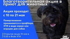 Акция «Больше чем дружба» в Снежная Королева