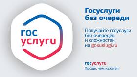 Автомобильные услуги на портале Госуслуги в Снежная Королева