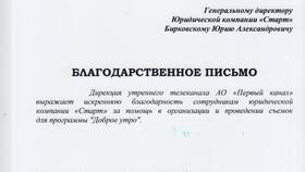 Чем грозит банкротство ООО в Снежная Королева