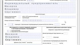 Что нужно для декларации ИП в Снежная Королева