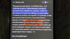 Что означает приоритетный заказ на Wildberries в Снежная Королева