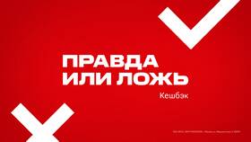 Что означает статус 