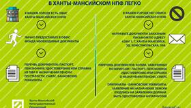 Что переводят в негосударственный пенсионный фонд в Снежная Королева