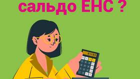 Что показывает сальдо ЕНС в Снежная Королева