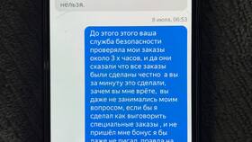 Что такое бонусы в Яндекс Доставке в Снежная Королева