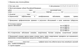 Что такое корректировка в справке в Снежная Королева