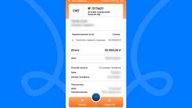 Как безопасно отправить реквизиты банковской карты в Снежная Королева
