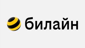 Как настроить переадресацию на Билайне в Снежная Королева