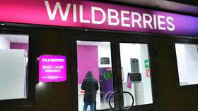 Как настроить WB Кошелек в Wildberries в Снежная Королева