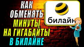 Как обменять минуты на гигабайты у Билайн в Снежная Королева