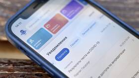 Как оформить выплаты по ВБД через портал Госуслуги в Снежная Королева