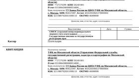 Как оплатить госпошлину через терминал МФЦ в Снежная Королева