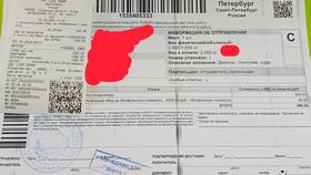 Как отслеживать посылку СДЭК в Снежная Королева
