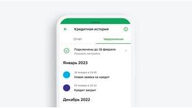 Как подать заявку на кредит в несколько банков одновременно в Снежная Королева