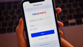 Как подать жалобу в Минздрав через Госуслуги в Снежная Королева
