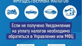 Как получить документы в налоговой инспекции в Снежная Королева