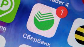 Как получить платежное поручение в Сбербанке в Снежная Королева