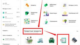 Как посмотреть рассрочку в Сбербанке в Снежная Королева