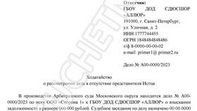 Как правильно отправить документы в суд в Снежная Королева