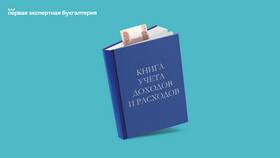 Как правильно посчитать доходы и расходы в Снежная Королева