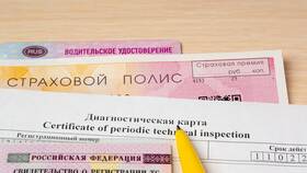 Как проверить действие страхового полиса в Снежная Королева