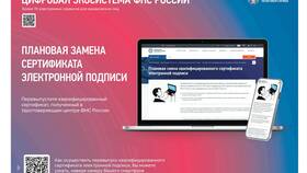 Как проверить наличие ИП у физического лица в Снежная Королева