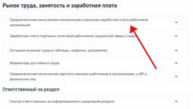 Как рассчитать размер среднемесячной заработной платы в Снежная Королева