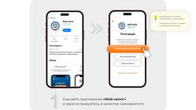 Как самозанятому оформить оплату наличными в Снежная Королева