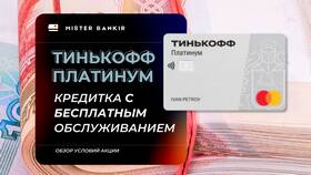 Как узнать тариф карты Тинькофф в Снежная Королева