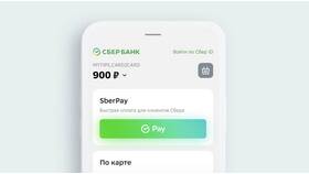 Как заказать бесплатную дебетовую карту Сбербанка в Снежная Королева