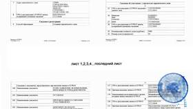 Как заказать расширенную выписку из ЕГРЮЛ в Снежная Королева