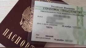 Как заменить СНИЛС при смене паспорта в Снежная Королева