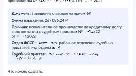 Как записаться на прием к судебным приставам через Госуслуги в Снежная Королева
