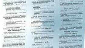 Какие формы бизнеса существуют кроме ООО в Снежная Королева