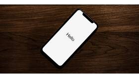 Почему на Авито iPhone стоит дешево в Снежная Королева