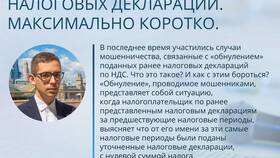 Почему отклоняют налоговую декларацию в Снежная Королева