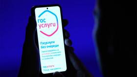Почему перестали открываться Госуслуги в Снежная Королева
