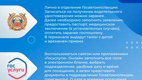 Предоставить или представить документы: как правильно в Снежная Королева