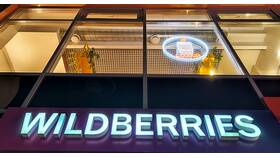Причины необходимости предоплаты техники на Wildberries в Снежная Королева