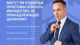Приставы описывают имущество: что делать в Снежная Королева