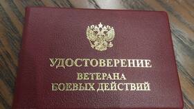 Справка что ветеран боевых действий в Снежная Королева