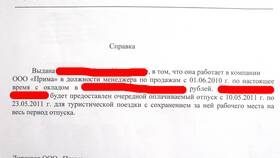 Справка о работе у ИП: особенности оформления в Снежная Королева