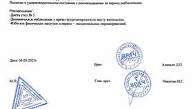 Зачем нужны справки в Снежная Королева